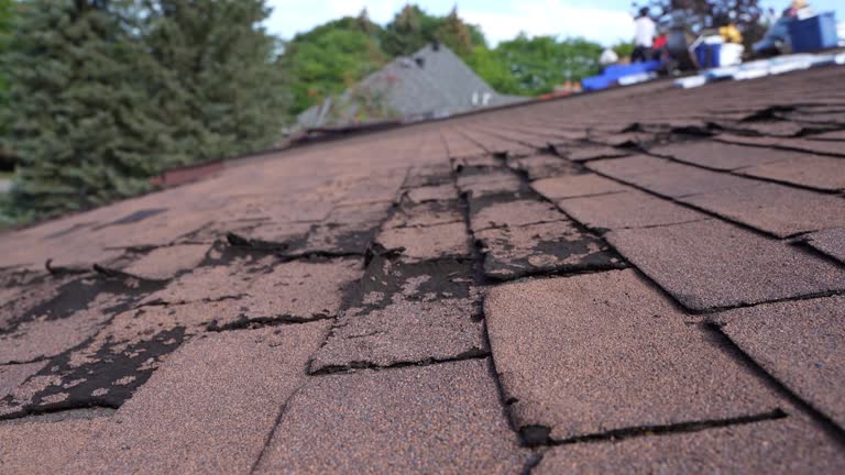 Trusted Churchill, OH Roofing Experts